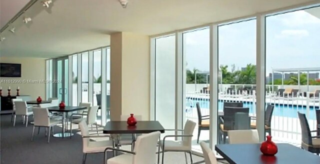 sunroom with plenty of natural light and track lighting