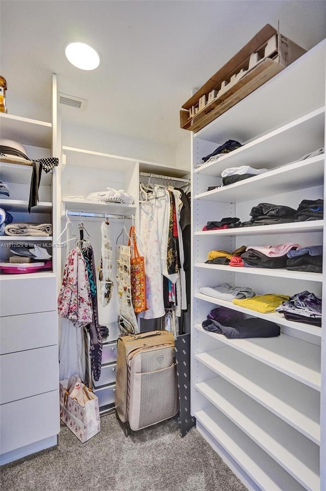 spacious closet with carpet flooring