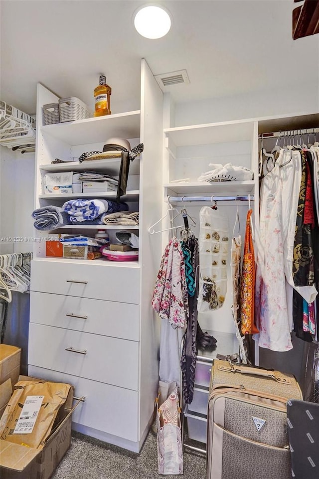 spacious closet featuring carpet floors