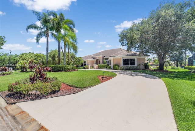 view of front of property with a front lawn