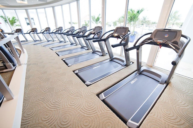 exercise room with light carpet and plenty of natural light