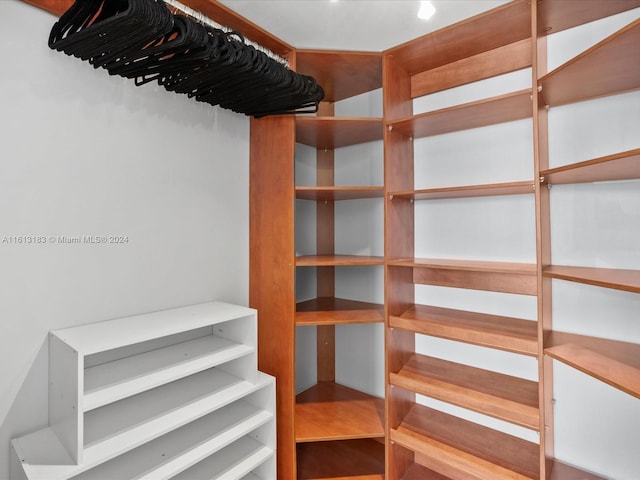 view of walk in closet