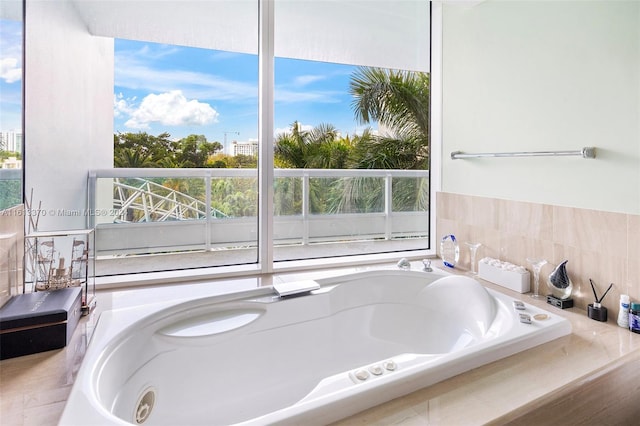 bathroom featuring a healthy amount of sunlight and a washtub