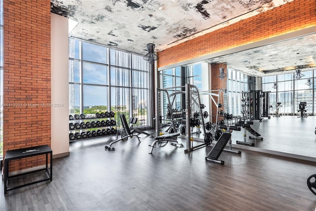 workout area featuring a high ceiling, a wall of windows, and dark wood-type flooring