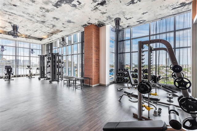 exercise room with dark hardwood / wood-style floors and a wall of windows