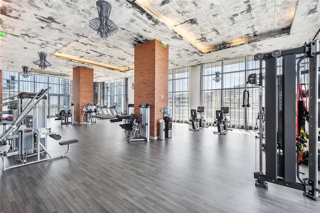 gym with brick wall, dark hardwood / wood-style flooring, a tray ceiling, and expansive windows