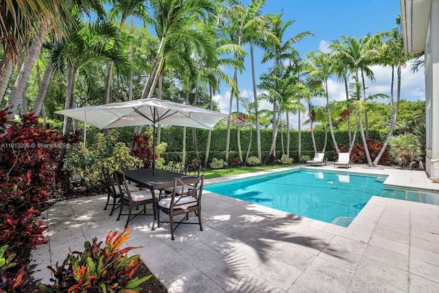 view of swimming pool featuring a patio