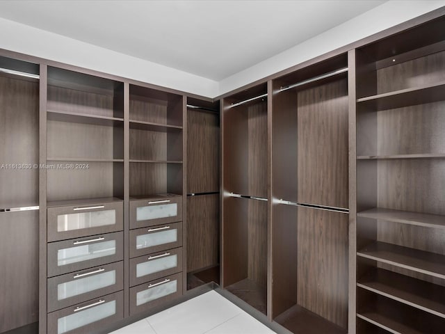 view of walk in closet