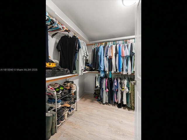 walk in closet with light hardwood / wood-style floors