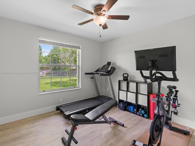 workout area featuring light wood-type flooring and ceiling fan