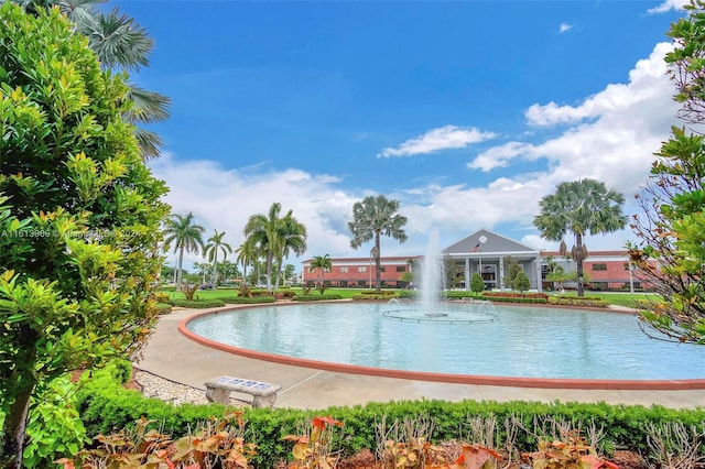 view of swimming pool