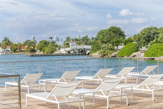 dock area with a water view