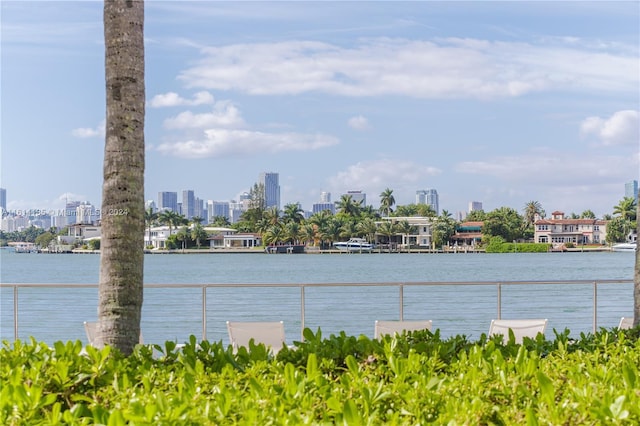 3 Island Ave Unit 04J, Miami Beach, FL 33139 - property view of water featuring a city view