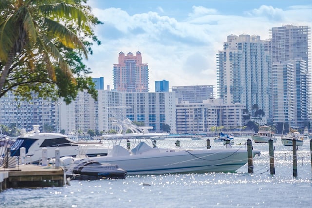 3 Island Ave Unit 04J, Miami Beach, FL 33139 - view of water feature featuring a city view