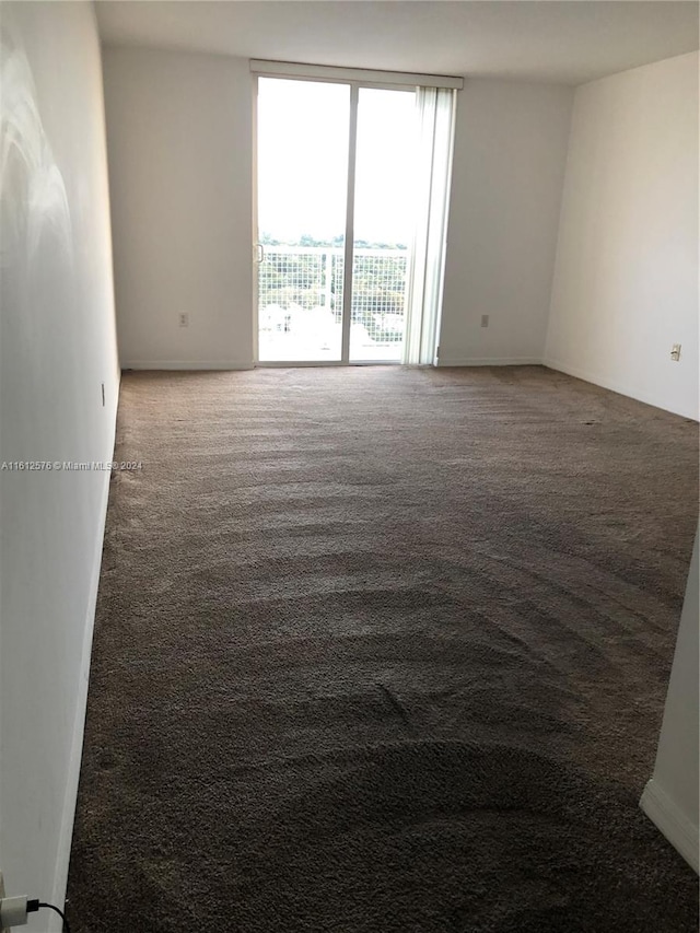 spare room featuring carpet floors