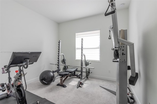 exercise room featuring carpet floors