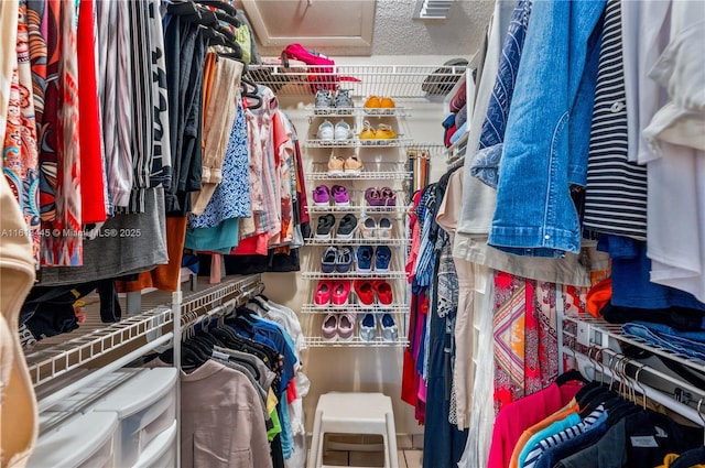 view of spacious closet