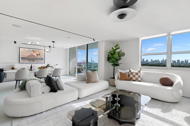 living room featuring floor to ceiling windows and a wealth of natural light