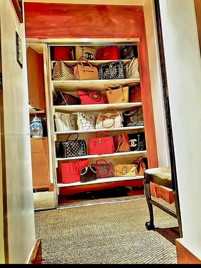 view of closet