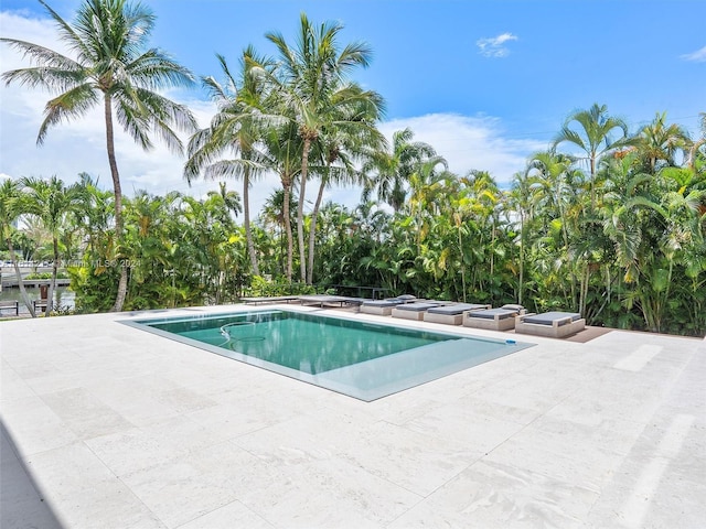 view of pool with a patio area