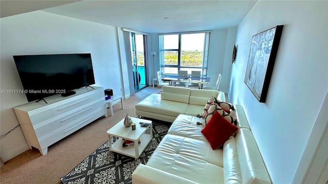 view of carpeted living room