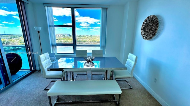 dining room featuring carpet floors and plenty of natural light