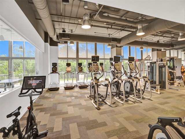 gym featuring carpet and a high ceiling