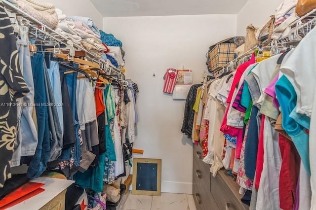 view of walk in closet