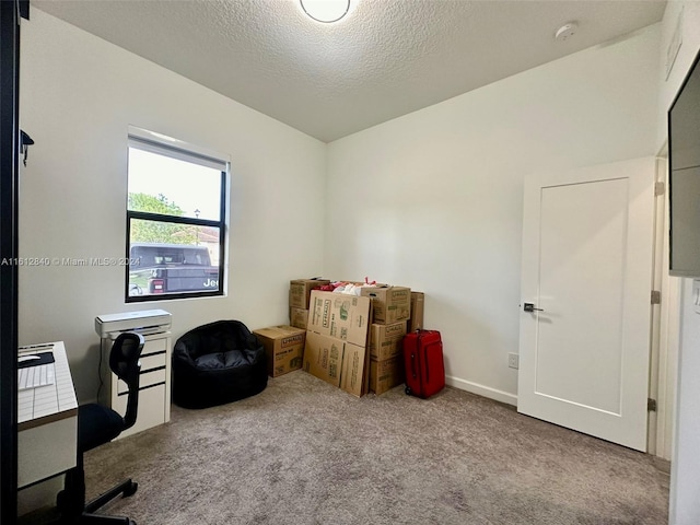 miscellaneous room with light carpet and a textured ceiling