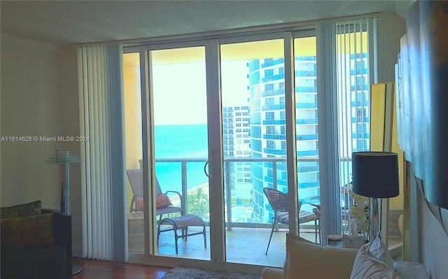 doorway featuring a healthy amount of sunlight, a water view, hardwood / wood-style flooring, and a textured ceiling