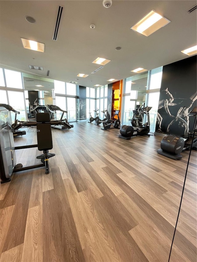 gym with floor to ceiling windows, hardwood / wood-style floors, and a wealth of natural light