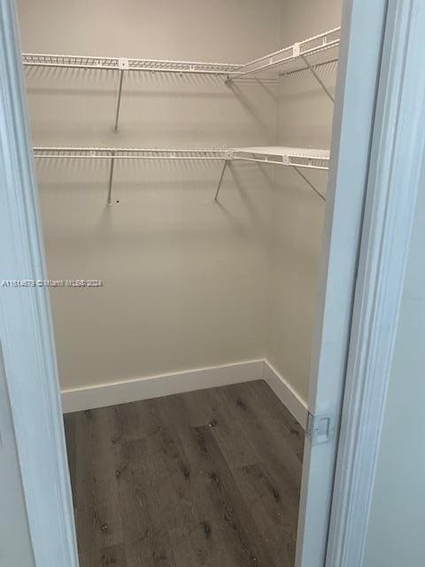 walk in closet with dark wood-type flooring