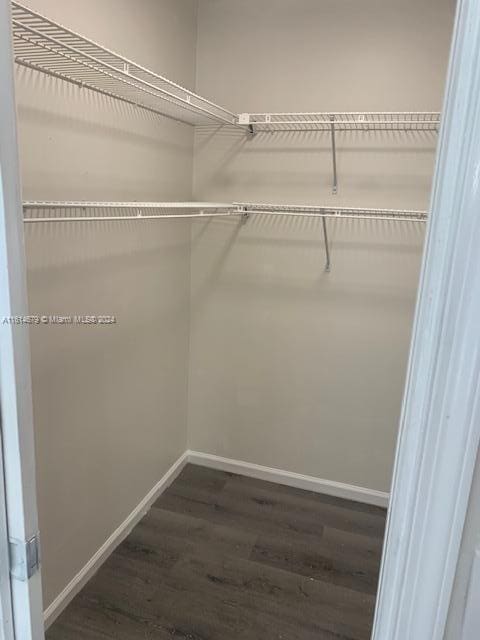 walk in closet with dark hardwood / wood-style floors