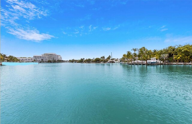 4710 Pine Tree Dr Unit 45, Miami Beach, FL 33140 - photo 12