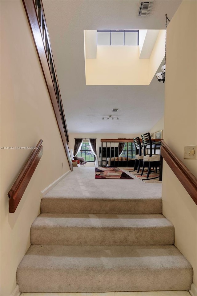 stairs with carpet flooring