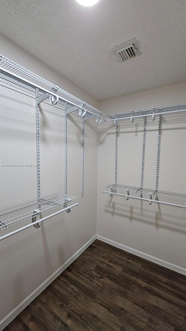 spacious closet with dark wood-type flooring