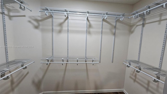 view of spacious closet