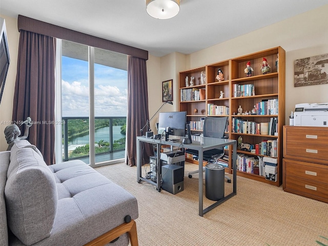 carpeted office space featuring floor to ceiling windows and a healthy amount of sunlight