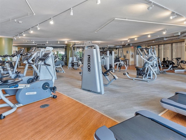 exercise room featuring a textured ceiling and light colored carpet