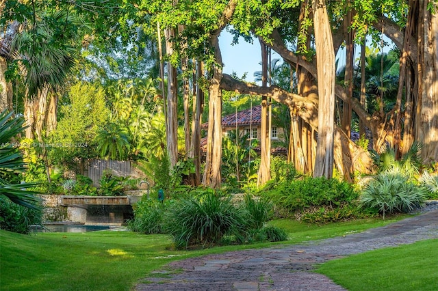 view of property's community featuring a lawn