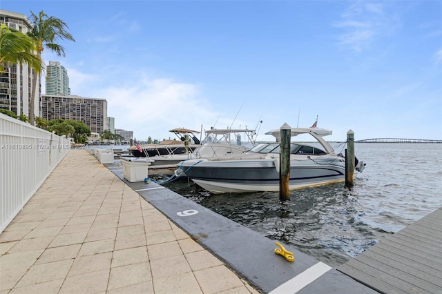 dock area with a water view