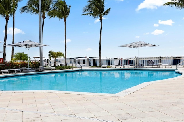 view of pool featuring a patio