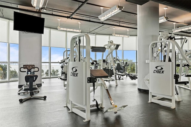 workout area featuring a towering ceiling, expansive windows, and plenty of natural light