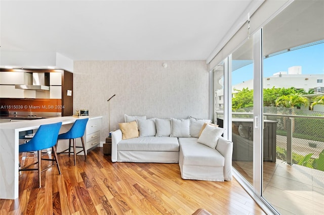 living room with hardwood / wood-style flooring