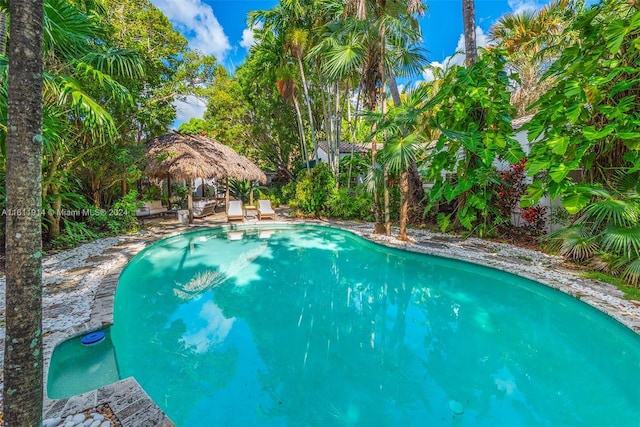 view of pool with a gazebo and a patio