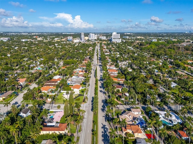 bird's eye view