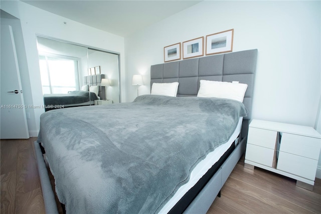 bedroom featuring a closet and hardwood / wood-style floors