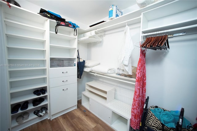 spacious closet with hardwood / wood-style floors