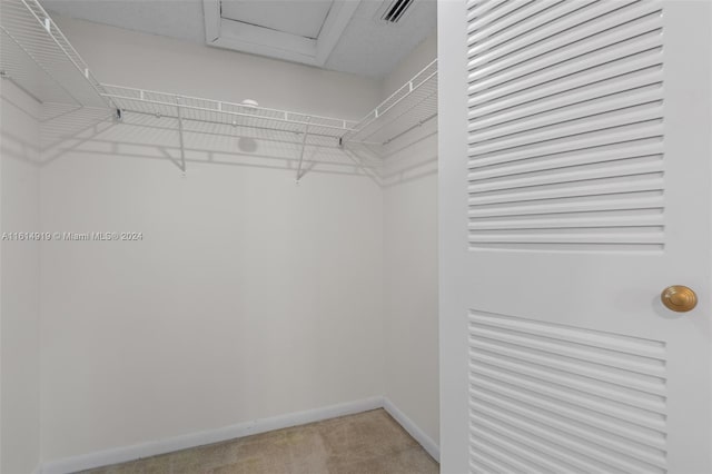 spacious closet featuring light colored carpet