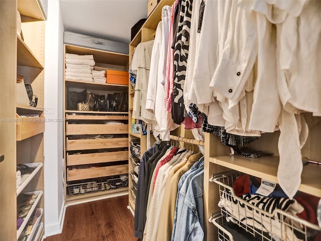 walk in closet with dark hardwood / wood-style flooring